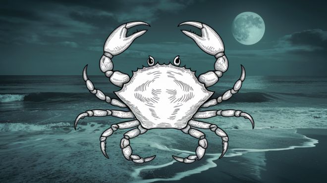 July 17 Zodiac Sign